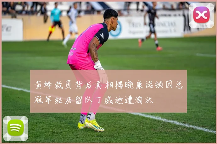黄蜂裁员背后真相揭晓康诺顿因总冠军经历留队丁威迪遭淘汰