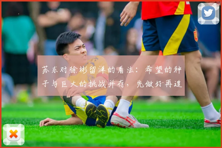 苏东对徐彬留洋的看法：希望的种子与巨大的挑战并存，先做好再追求完美