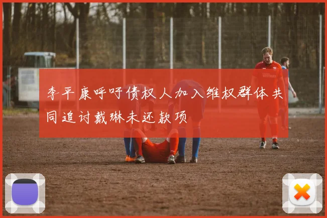 李平康呼吁债权人加入维权群体共同追讨戴琳未还款项